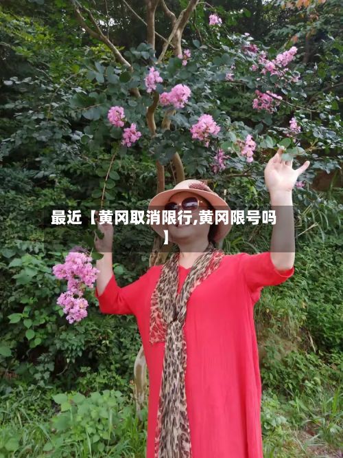 最近【黄冈取消限行,黄冈限号吗】-第2张图片
