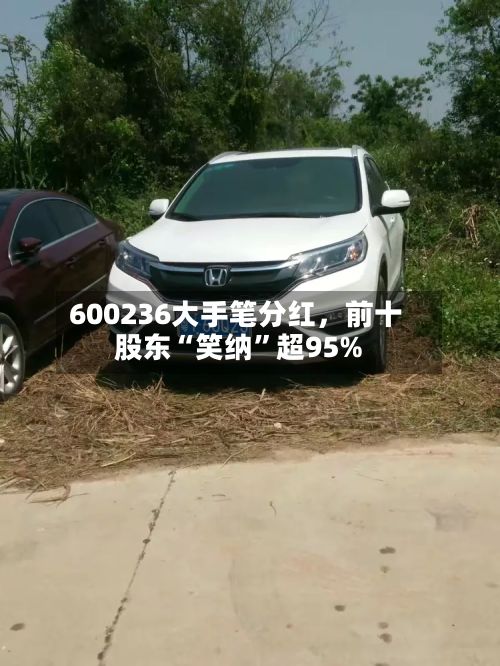 600236大手笔分红，前十股东“笑纳”超95%