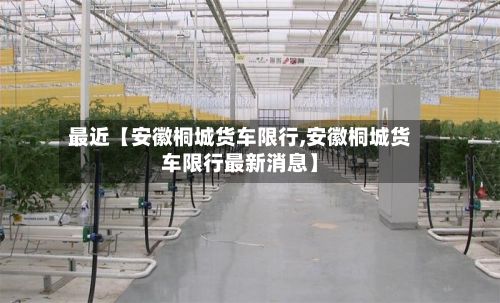 最近【安徽桐城货车限行,安徽桐城货车限行最新消息】-第2张图片