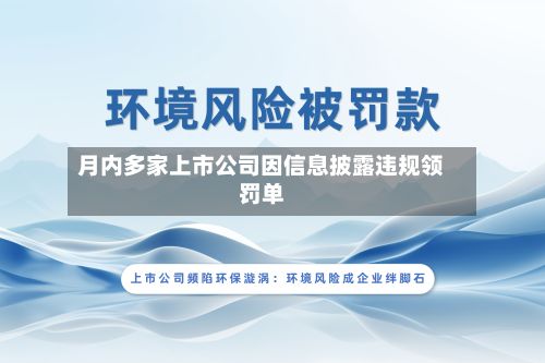 月内多家上市公司因信息披露违规领罚单-第2张图片