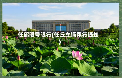 任邱限号限行(任丘车辆限行通知)-第3张图片