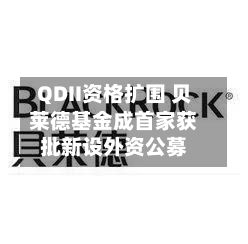QDII资格扩围 贝莱德基金成首家获批新设外资公募-第3张图片