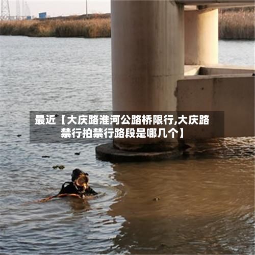 最近【大庆路淮河公路桥限行,大庆路禁行拍禁行路段是哪几个】