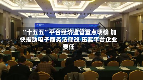 “十五五”平台经济监管重点明确 加快推动电子商务法修改 压实平台企业责任