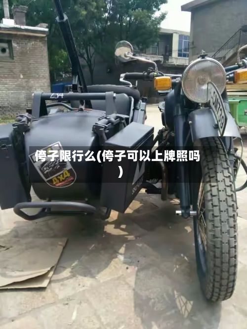 侉子限行么(侉子可以上牌照吗)