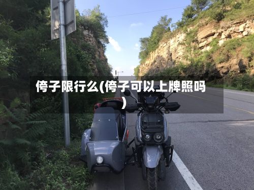 侉子限行么(侉子可以上牌照吗)-第2张图片