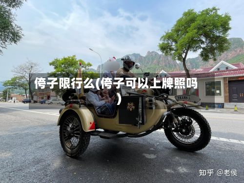 侉子限行么(侉子可以上牌照吗)-第3张图片