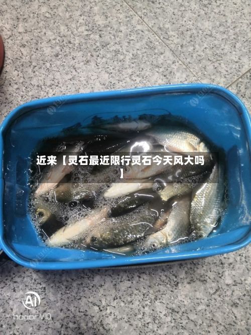 近来【灵石最近限行灵石今天风大吗】