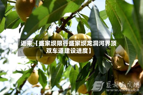 近来【盛家坝限行盛家坝龙洞河界顶双车道建设进度】