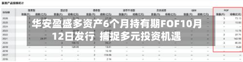 华安盈盛多资产6个月持有期FOF10月12日发行 捕捉多元投资机遇-第3张图片