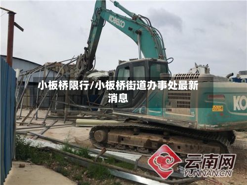 小板桥限行/小板桥街道办事处最新消息-第2张图片