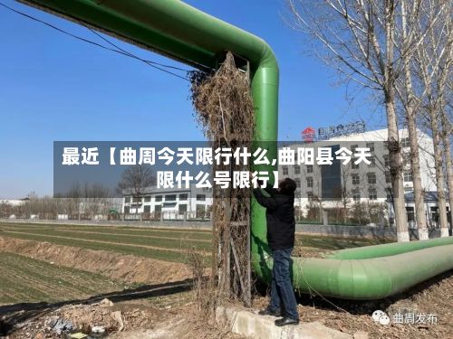 最近【曲周今天限行什么,曲阳县今天限什么号限行】