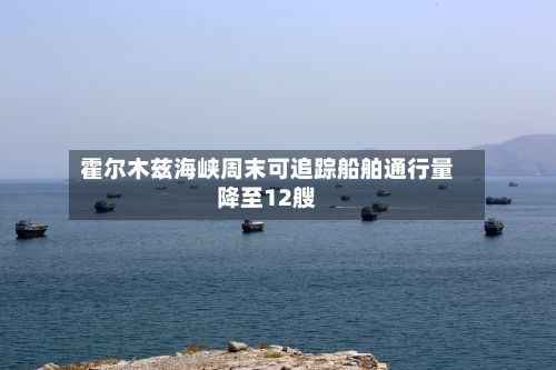 霍尔木兹海峡周末可追踪船舶通行量降至12艘-第3张图片