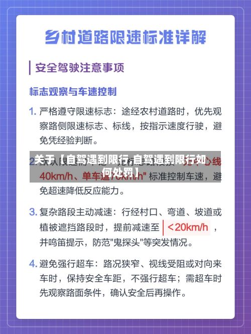 关于【自驾遇到限行,自驾遇到限行如何处罚】-第2张图片