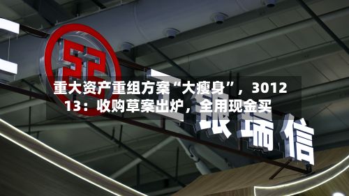 重大资产重组方案“大瘦身”，301213：收购草案出炉，全用现金买