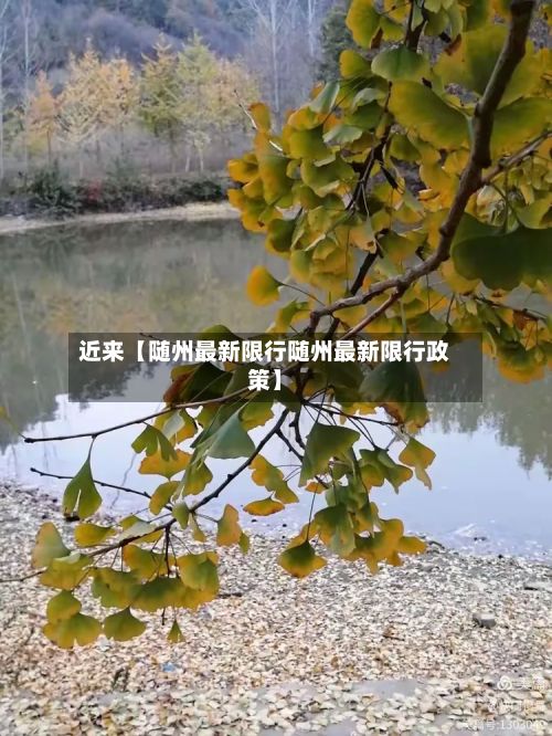 近来【随州最新限行随州最新限行政策】-第2张图片