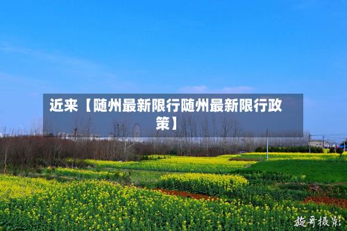 近来【随州最新限行随州最新限行政策】-第3张图片