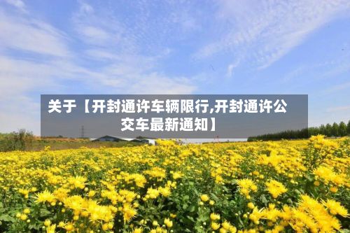 关于【开封通许车辆限行,开封通许公交车最新通知】-第2张图片