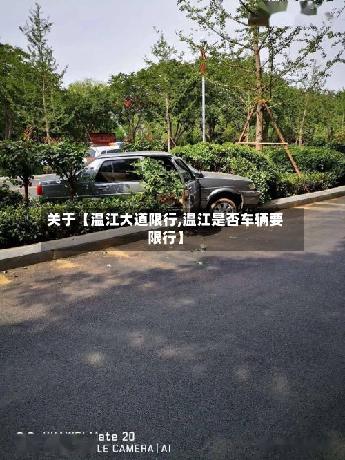 关于【温江大道限行,温江是否车辆要限行】-第2张图片