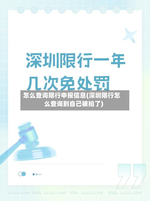 怎么查询限行申报信息(深圳限行怎么查询到自己被拍了)