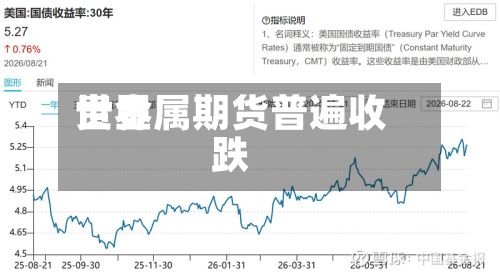 世界贵金属期货普遍收跌