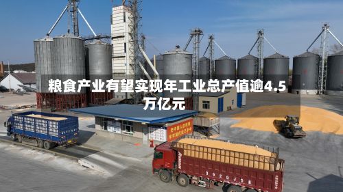 粮食产业有望实现年工业总产值逾4.5万亿元-第2张图片