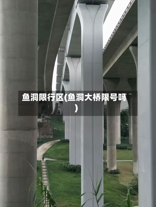 鱼洞限行区(鱼洞大桥限号吗)-第3张图片