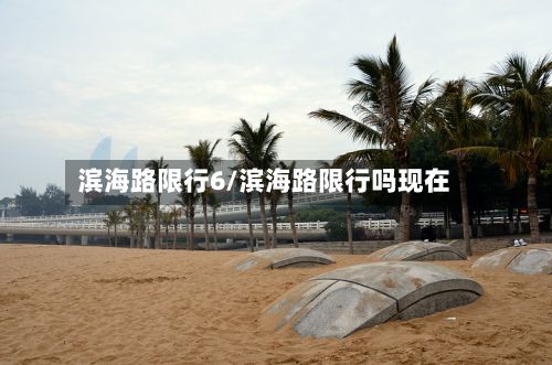 滨海路限行6/滨海路限行吗现在