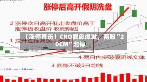 【涨停直击】CRO概念爆发，两股“20CM”涨停
