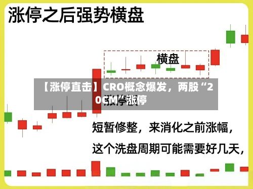 【涨停直击】CRO概念爆发	，两股“20CM”涨停-第3张图片