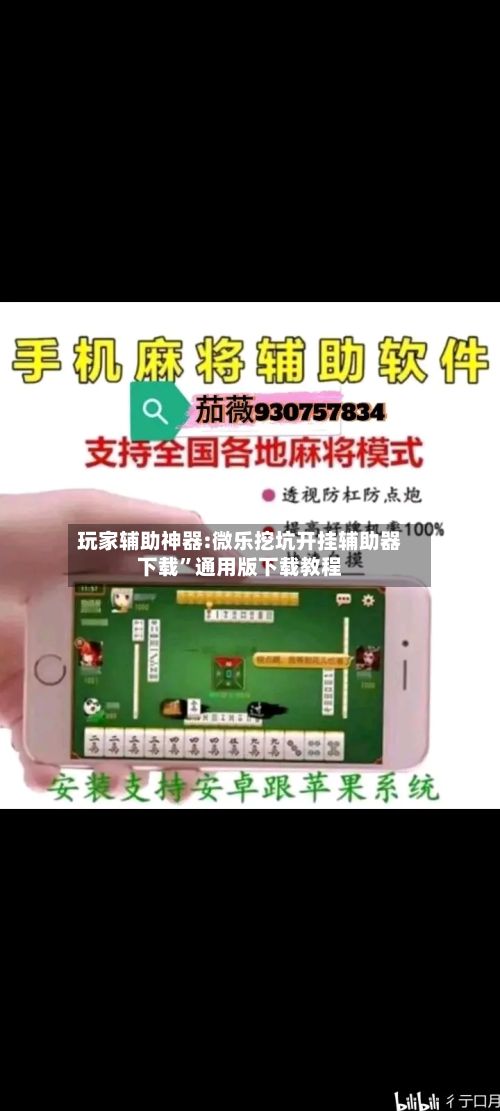 玩家辅助神器:微乐挖坑开挂辅助器下载”通用版下载教程-第2张图片