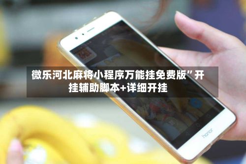 微乐河北麻将小程序万能挂免费版”开挂辅助脚本+详细开挂-第3张图片