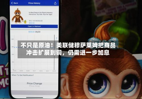 不只是原油！美联储穆萨莱姆把商品冲击扩展到铜	，仍需进一步加息-第1张图片