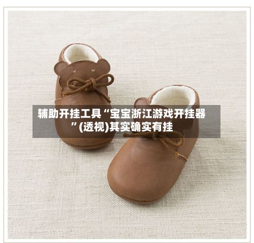 辅助开挂工具“宝宝浙江游戏开挂器”(透视)其实确实有挂-第2张图片