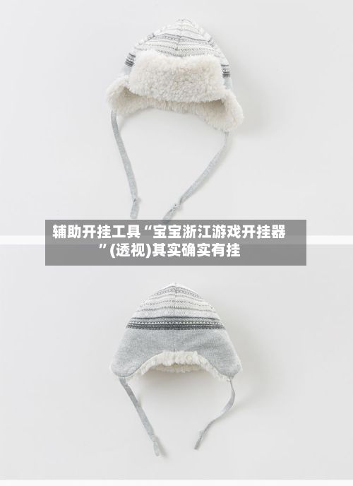 辅助开挂工具“宝宝浙江游戏开挂器”(透视)其实确实有挂