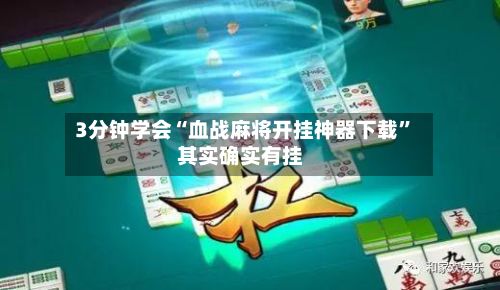 3分钟学会“血战麻将开挂神器下载”其实确实有挂-第2张图片