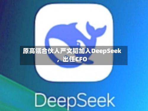 原高瓴合伙人严文韬加入DeepSeek，出任CFO