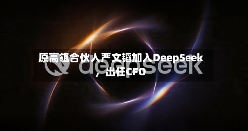 原高瓴合伙人严文韬加入DeepSeek，出任CFO-第2张图片