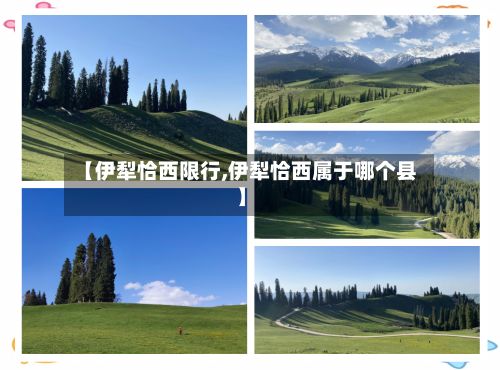 【伊犁恰西限行,伊犁恰西属于哪个县】-第2张图片