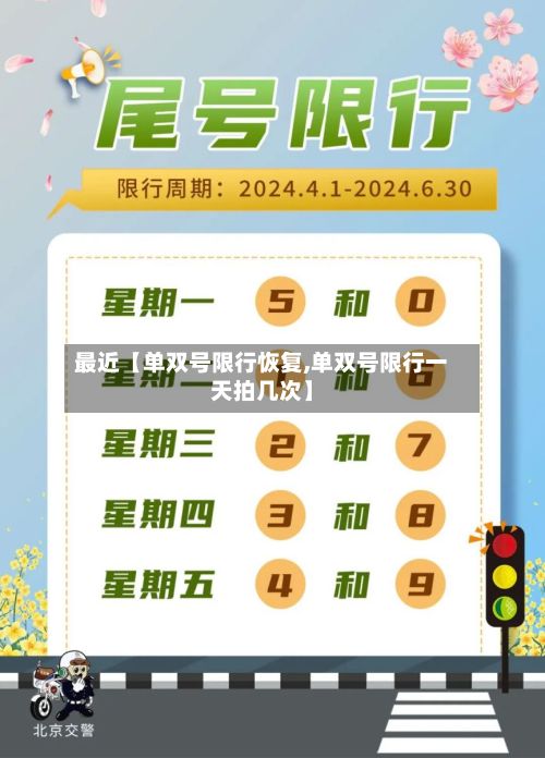 最近【单双号限行恢复,单双号限行一天拍几次】