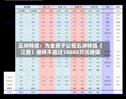五洲特纸：为全资子公司五洲特纸（江西）提供不超过10000万元担保-第2张图片