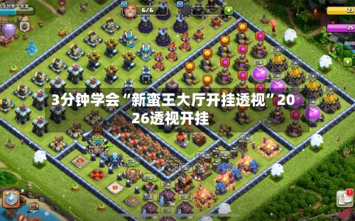 3分钟学会“新蛮王大厅开挂透视”2026透视开挂-第2张图片