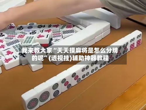 我来教大家“天天摸麻将是怎么分牌的呢”(透视挂)辅助神器教程-第3张图片
