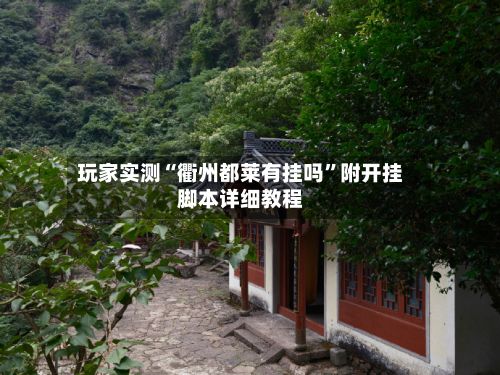 玩家实测“衢州都莱有挂吗”附开挂脚本详细教程-第2张图片