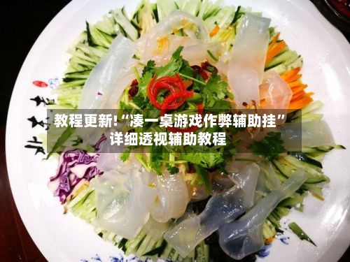 教程更新!“凑一桌游戏作弊辅助挂”详细透视辅助教程-第2张图片