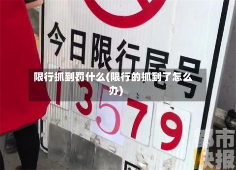 限行抓到罚什么(限行的抓到了怎么办)-第2张图片