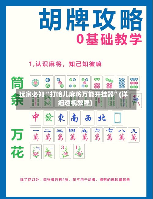玩家必知“打哈儿麻将万能开挂器”(详细透视教程)-第2张图片