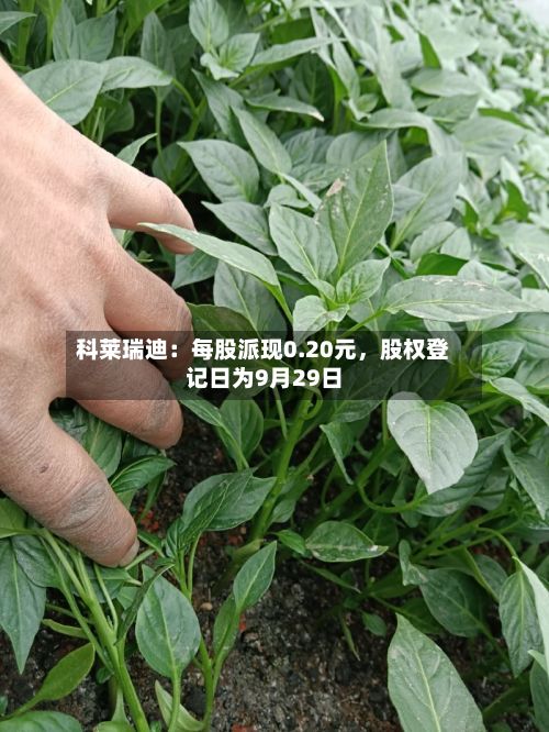 科莱瑞迪：每股派现0.20元，股权登记日为9月29日