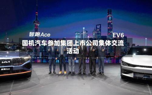 国机汽车参加集团上市公司集体交流活动-第2张图片