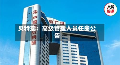 贝特瑞：高级管理人员任命公告-第2张图片